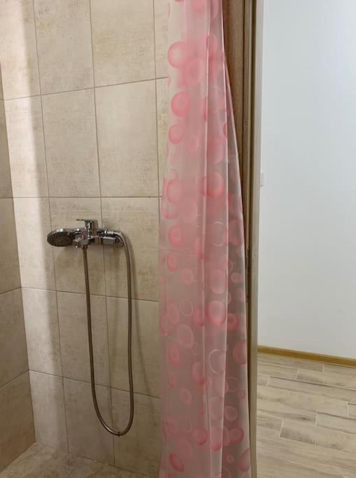 Rowing Base Apartment Plovdiv Eksteriør bilde